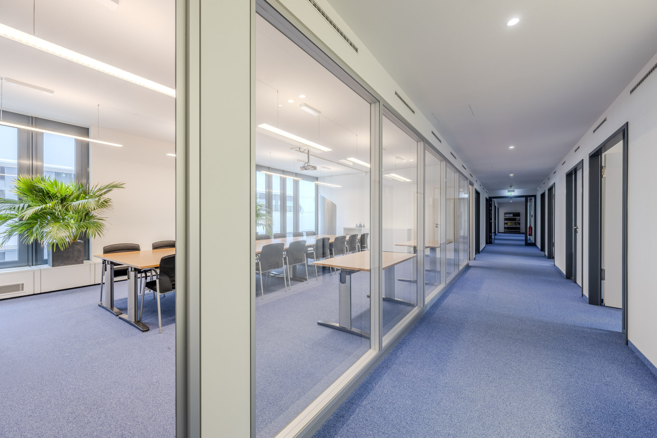 Büroflur mit Glaswand zum Konferenzraum und mehreren Seitentüren.